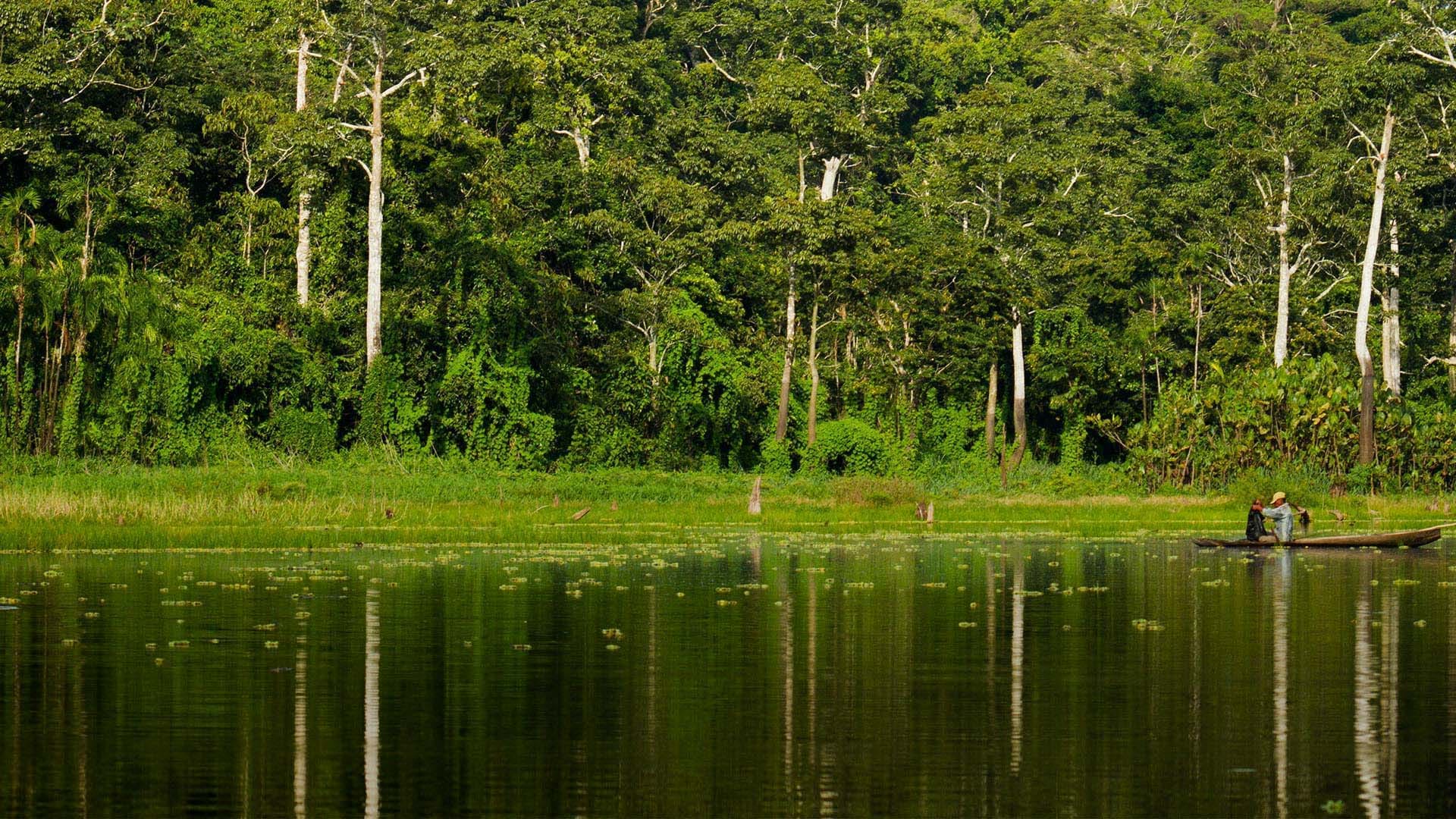 Pacaya Samiria Nature Reserve, the second best place in the